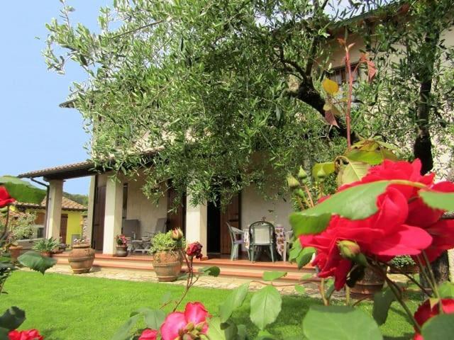 Casa Vacanze Lulu Camaiore Zewnętrze zdjęcie