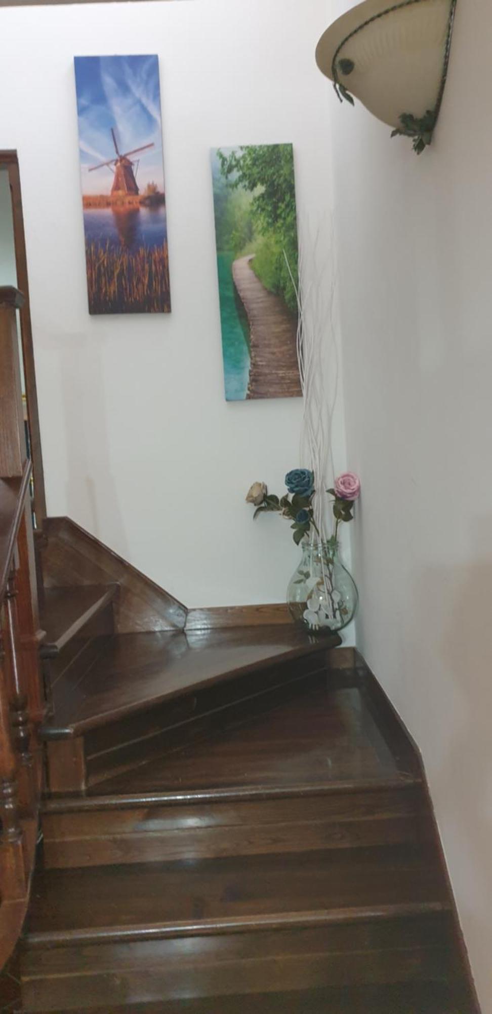Casa Vacanze Lulu Camaiore Zewnętrze zdjęcie