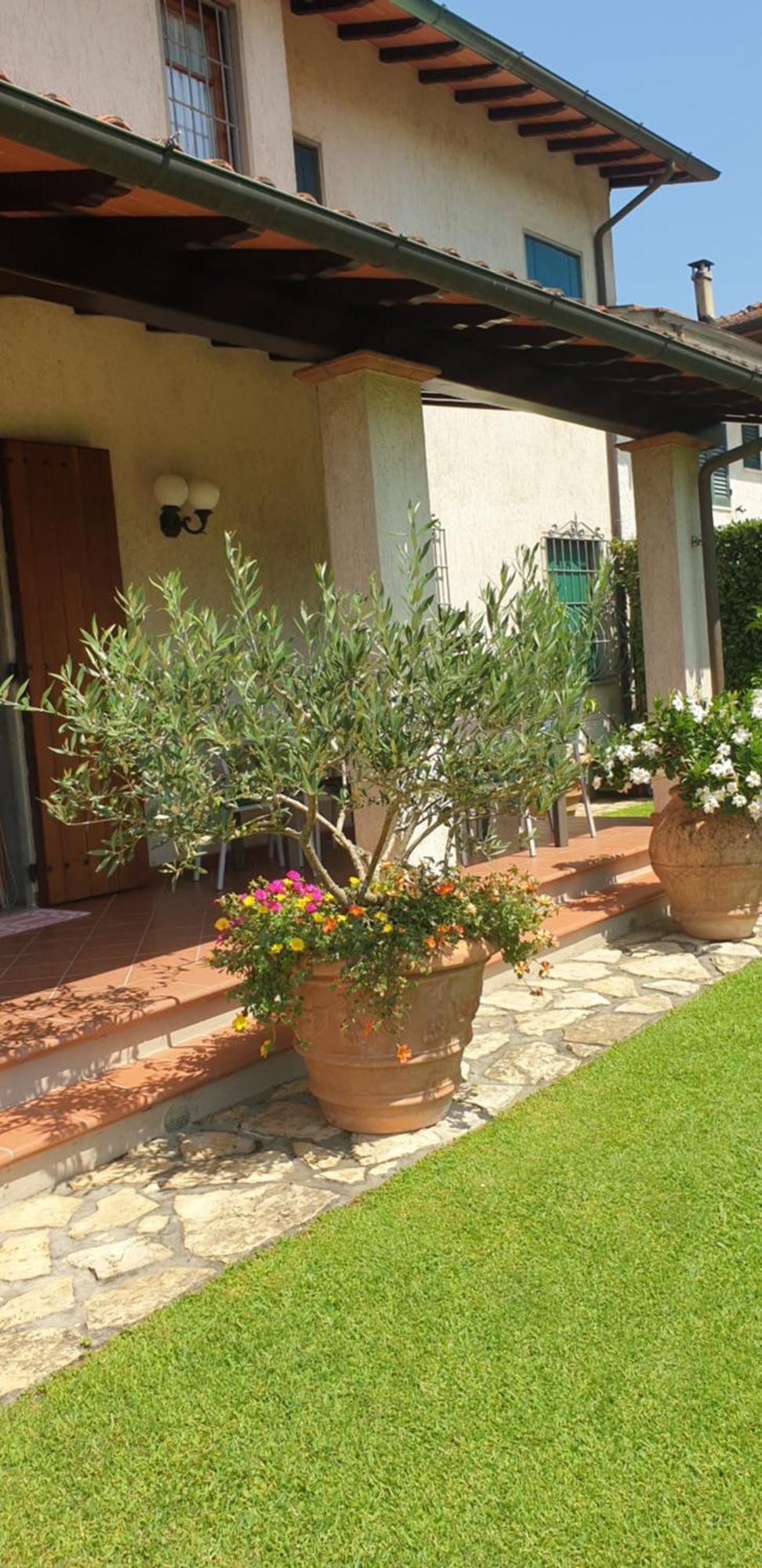 Casa Vacanze Lulu Camaiore Zewnętrze zdjęcie